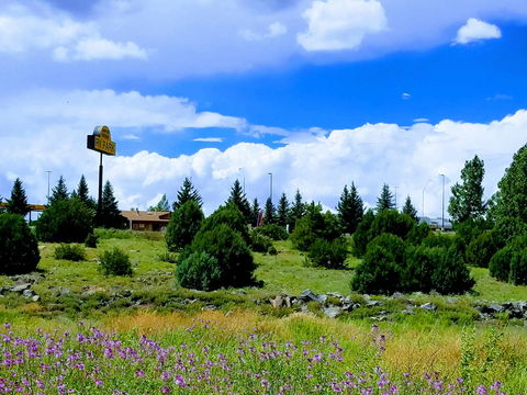 Grand Canyon RV Glamping - Bet 4u 6