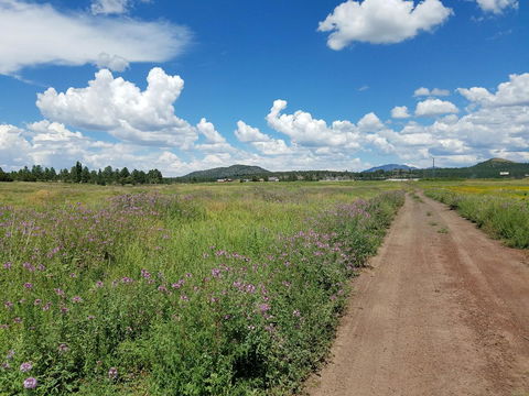 Grand Canyon RV Glamping - Bet 4u 12