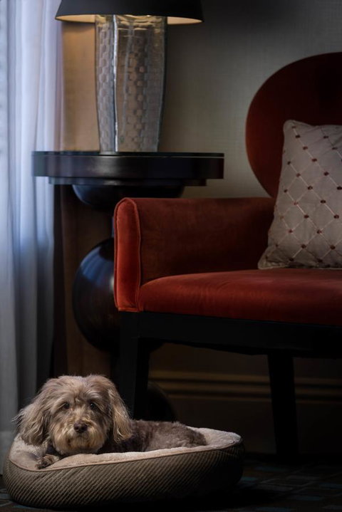 Hotel Shattuck Plaza - Click Find 27