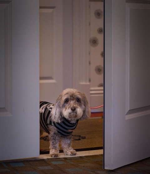 Hotel Shattuck Plaza - Click Find 28