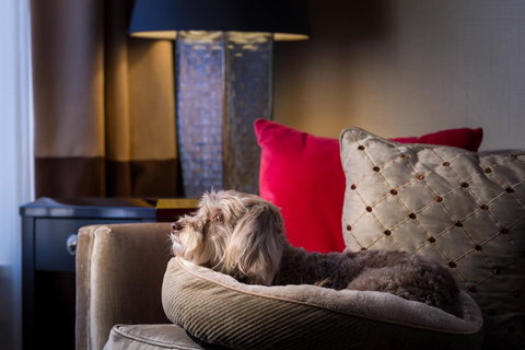 Hotel Shattuck Plaza - Click Find 26