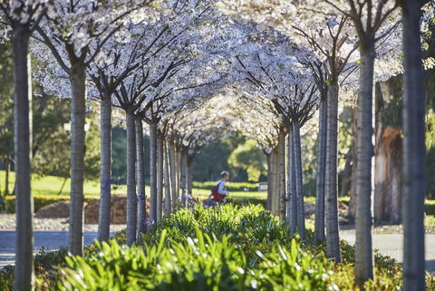 Graduate Berkeley - Click Find 23