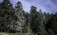 Inn At Schoolhouse Creek - thumb 4
