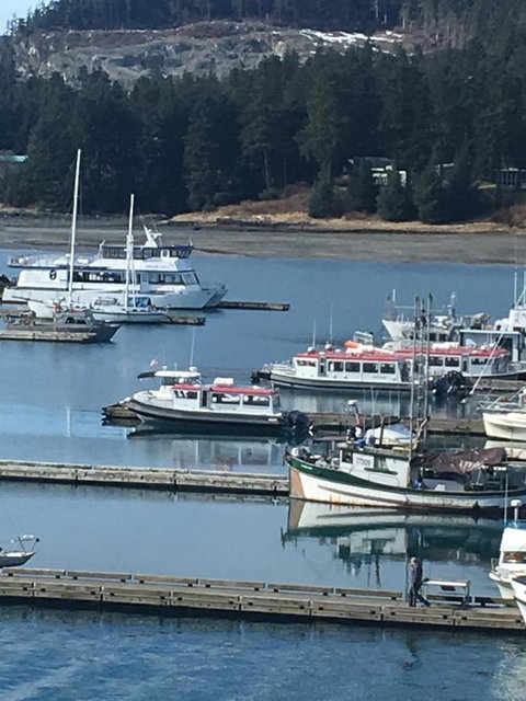 Harbor Haven At Auke Bay - Click Find 21