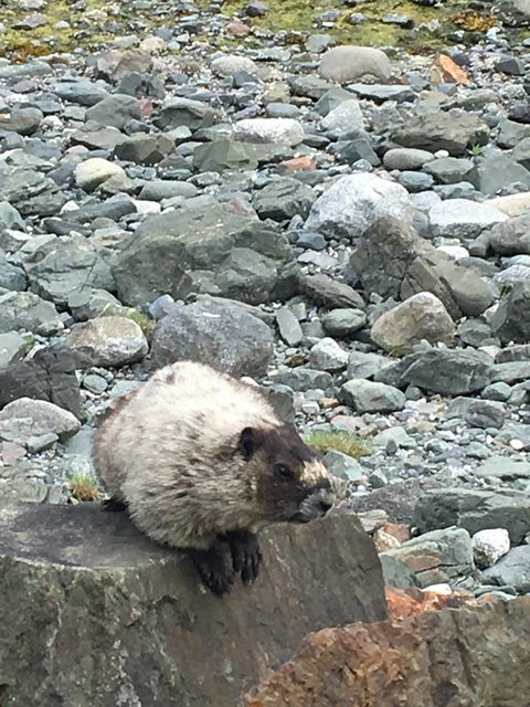 Harbor Haven At Auke Bay - Click Find 23