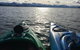 Harbor Haven At Auke Bay - thumb 26