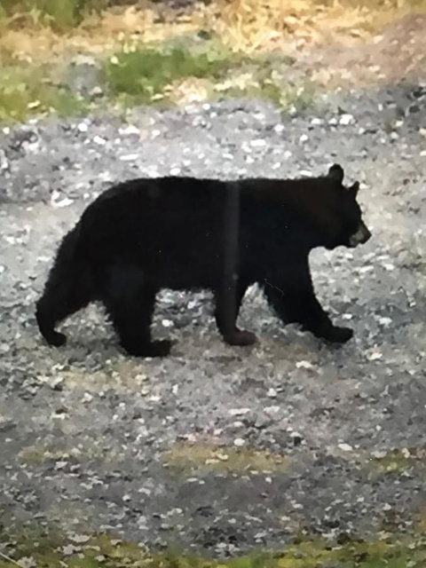Girdwood Stained Glass B&B - Click Find 17