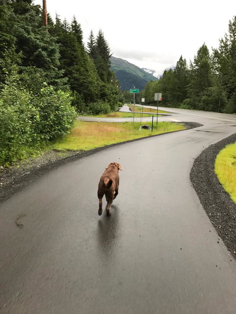 Girdwood Stained Glass B&B - Click Find 12