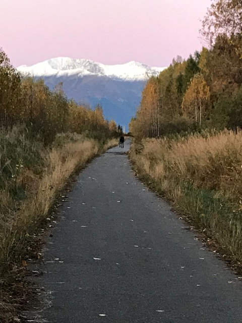Girdwood Stained Glass B&B - Click Find 18