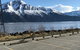 Girdwood Stained Glass B&B - thumb 14