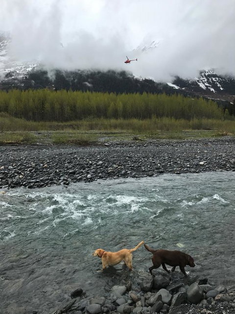 Girdwood Stained Glass B&B - Click Find 13
