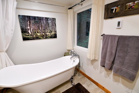 Glacier Cabin - Click Find 4
