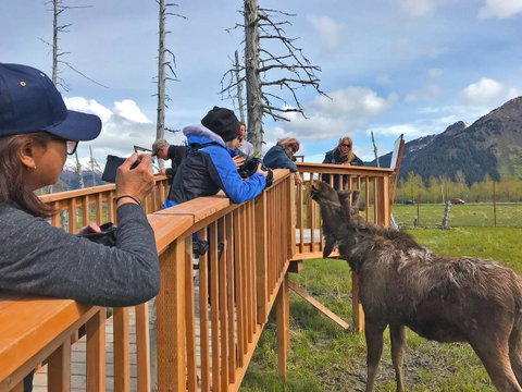 Glacier Cabin - Click Find 15