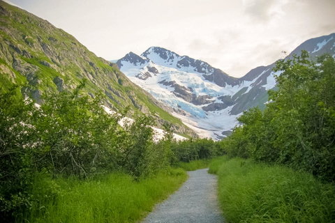 Alyeska West #708 - Click Find 20