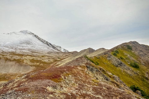 Alyeska West #708 - Click Find 23